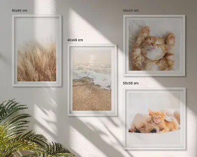 Set posters met lijst met schattige katten, honden en strandthema