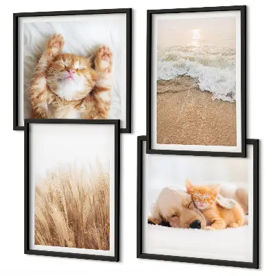 Set posters met lijst met schattige katten, honden en strandthema