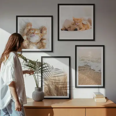 Set posters met lijst met schattige katten, honden en strandthema
