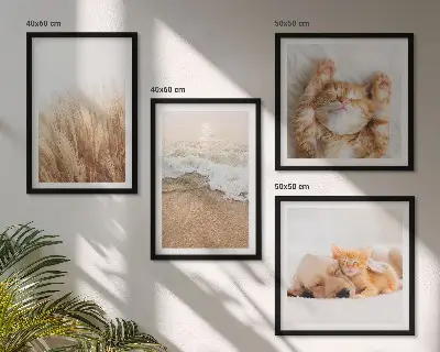 Set posters met lijst met schattige katten, honden en strandthema