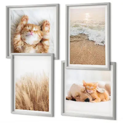 Set posters met lijst met schattige katten, honden en strandthema