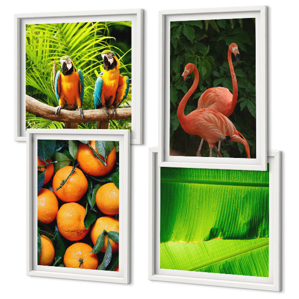 Set van posters met lijst Fruitige accenten uit de tropen