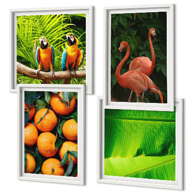 Set van posters met lijst Fruitige accenten uit de tropen