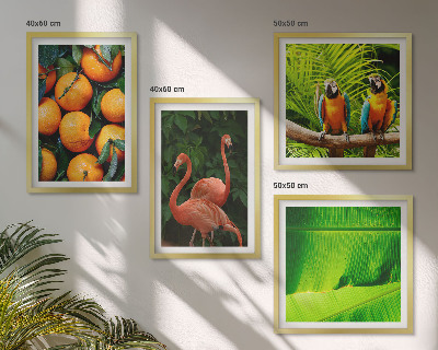Set van posters met lijst Fruitige accenten uit de tropen