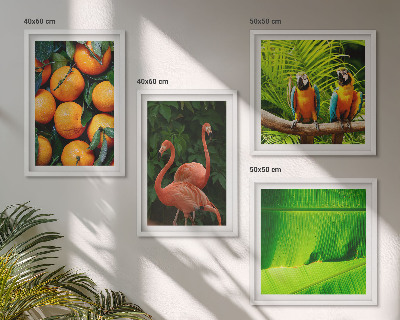 Set van posters met lijst Fruitige accenten uit de tropen