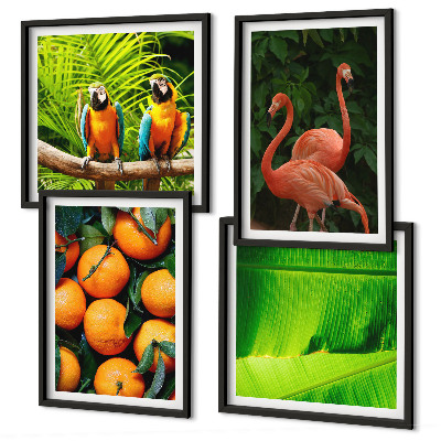 Set van posters met lijst Fruitige accenten uit de tropen