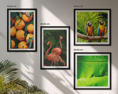Set van posters met lijst Fruitige accenten uit de tropen