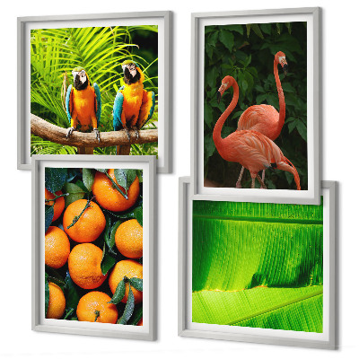 Set van posters met lijst Fruitige accenten uit de tropen