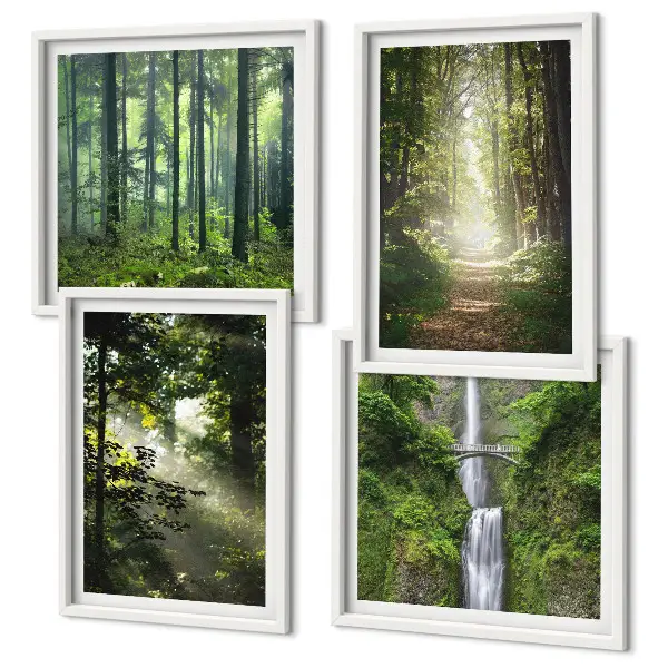 Meerluik in lijst groene bossen met lichtstralen