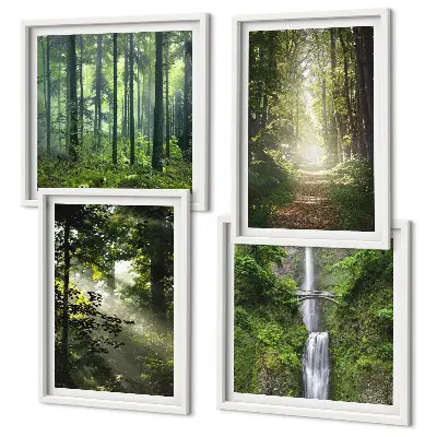 Meerluik in lijst Groene bossen, lichtstralen