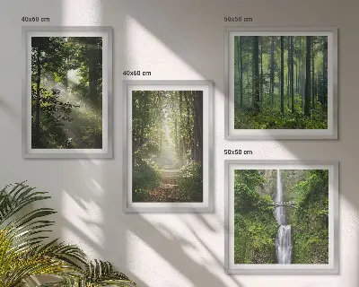 Meerluik in lijst groene bossen met lichtstralen