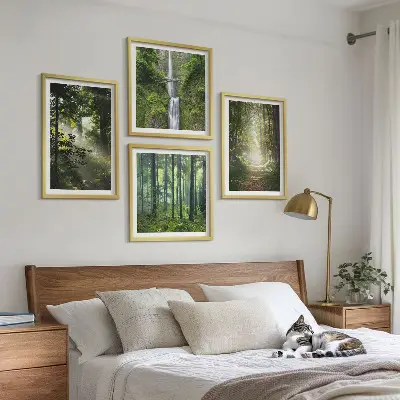 Meerluik in lijst groene bossen met lichtstralen