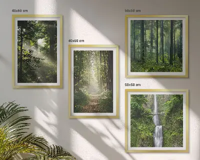 Meerluik in lijst groene bossen met lichtstralen