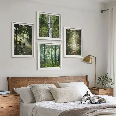 Meerluik in lijst groene bossen met lichtstralen