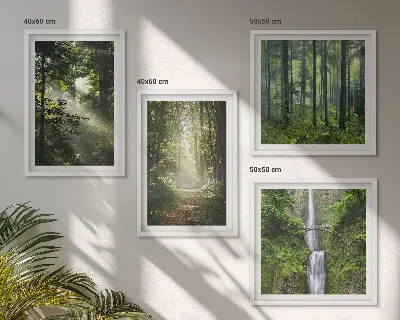 Meerluik in lijst groene bossen met lichtstralen