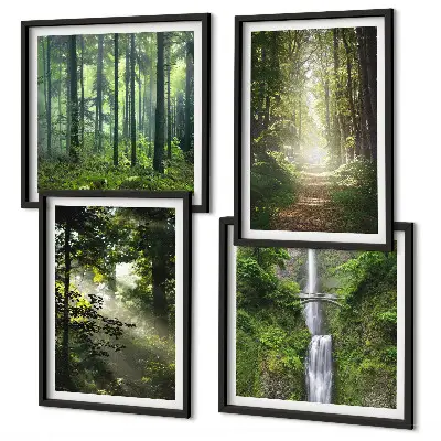 Meerluik in lijst groene bossen met lichtstralen