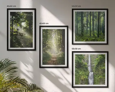 Meerluik in lijst groene bossen met lichtstralen