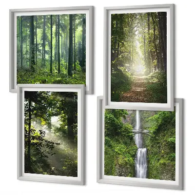 Meerluik in lijst groene bossen met lichtstralen