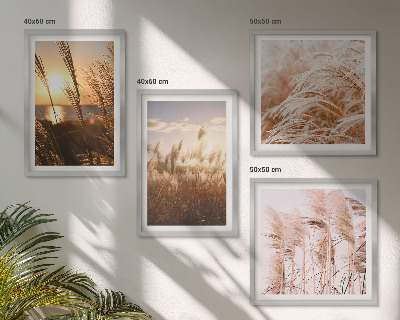 Set van posters met lijst Boho grasveld zonsondergang