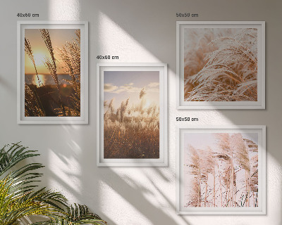 Set van posters met lijst Boho grasveld zonsondergang