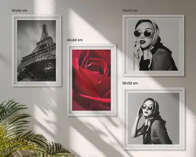 Parijse dame met Eiffel-bril set van posters met lijst