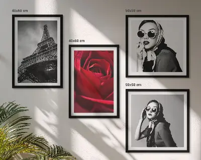 Parijse dame met Eiffel-bril set van posters met lijst