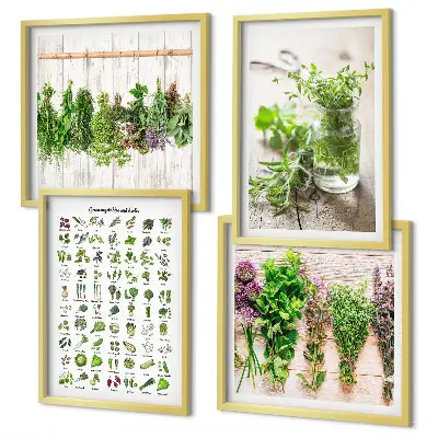 Gedroogde kruiden voor in de keuken set van posters met lijst