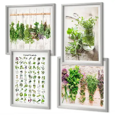 Gedroogde kruiden voor in de keuken set van posters met lijst