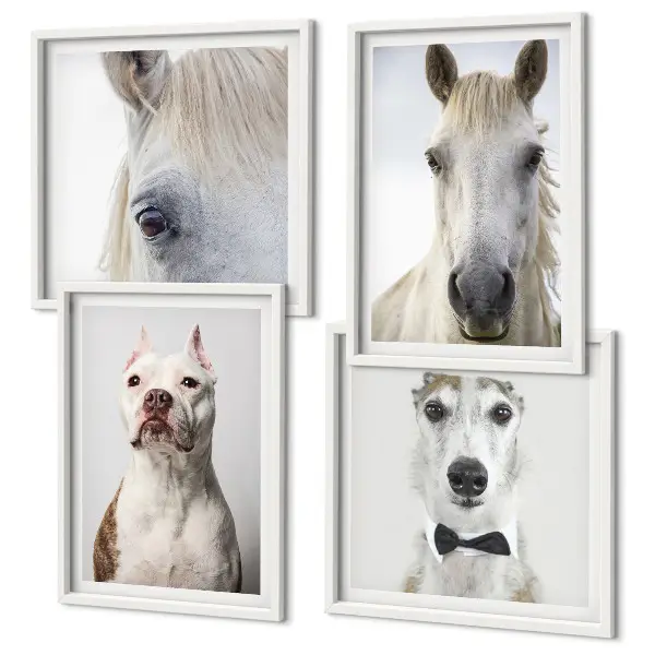 Set van posters met lijst Elegante portretten van honden en paarden.