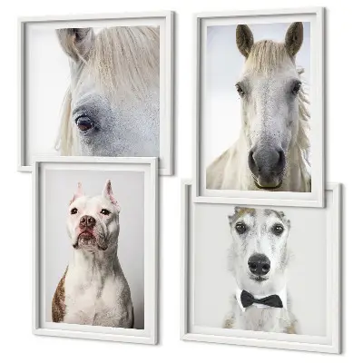 Set van posters met lijst Elegante portretten van honden en paarden.