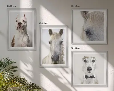 Set van posters met lijst Elegante portretten van honden en paarden.