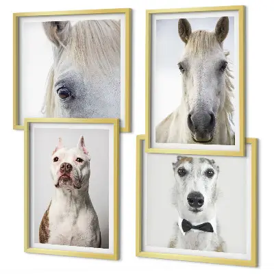 Set van posters met lijst Elegante portretten van honden en paarden.