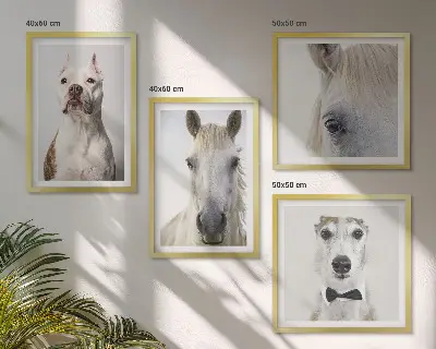 Set van posters met lijst Elegante portretten van honden en paarden.