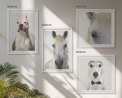 Set van posters met lijst Elegante portretten van honden en paarden.