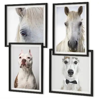 Set van posters met lijst Elegante portretten van honden en paarden.