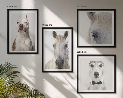 Set van posters met lijst Elegante portretten van honden en paarden.
