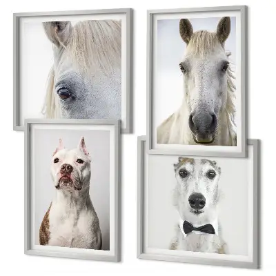 Set van posters met lijst Elegante portretten van honden en paarden.