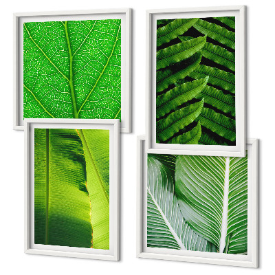 Set van posters met lijst Close-up van tropische bladeren