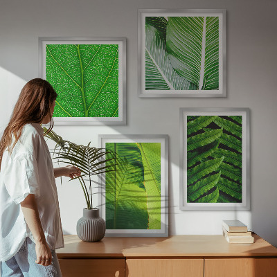 Set van posters met lijst Close-up van tropische bladeren