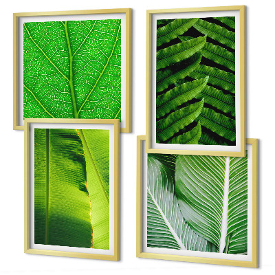 Set van posters met lijst Close-up van tropische bladeren