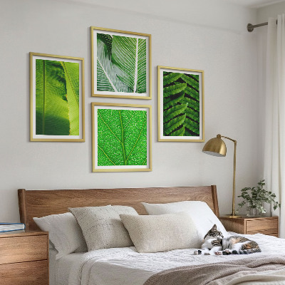 Set van posters met lijst Close-up van tropische bladeren
