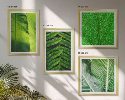 Set van posters met lijst Close-up van tropische bladeren
