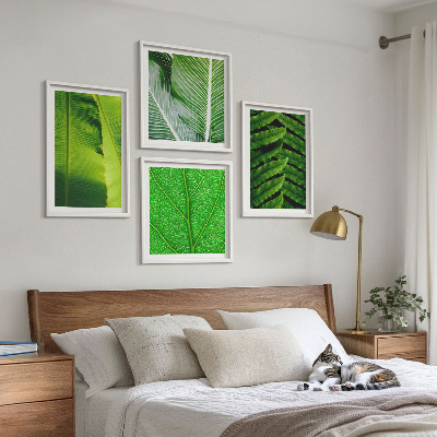 Set van posters met lijst Close-up van tropische bladeren
