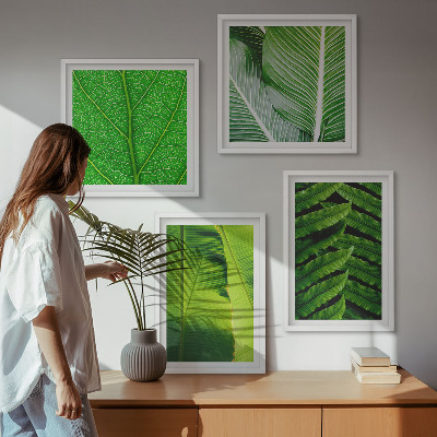 Set van posters met lijst Close-up van tropische bladeren