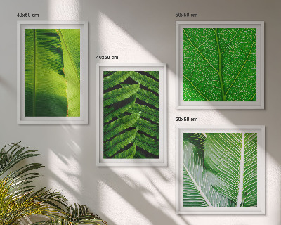Set van posters met lijst Close-up van tropische bladeren