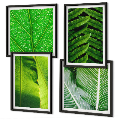Set van posters met lijst Close-up van tropische bladeren
