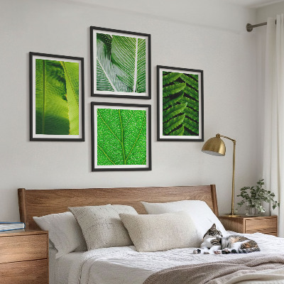 Set van posters met lijst Close-up van tropische bladeren
