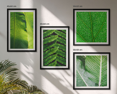Set van posters met lijst Close-up van tropische bladeren