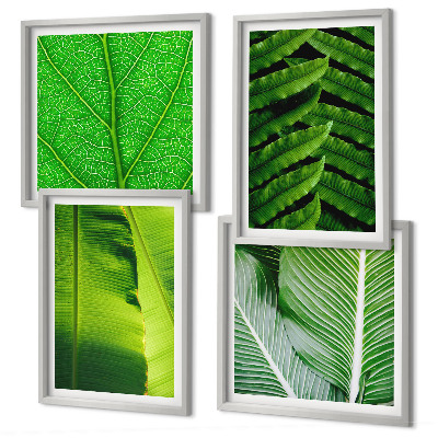 Set van posters met lijst Close-up van tropische bladeren