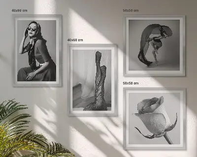 Stijlvolle portretten van elegante vrouwen meerluik in lijst